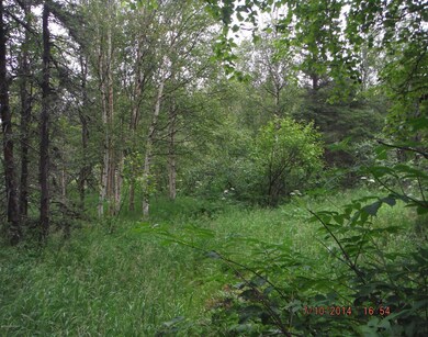 DSCF0542