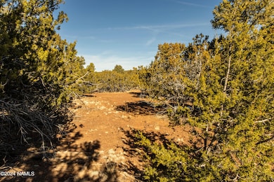 ss_rs_property_1223_-8