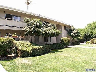 side lawn