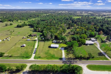 Drone / aerial view of a forest