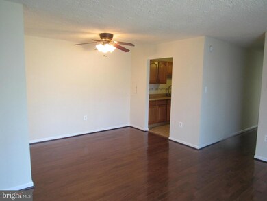5204 Newton St unit 302, Bladensburg, MD 20710 - photo 3