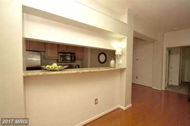 46582 Drysdale Terrace unit 102, Sterling, VA 20165 - photo 6