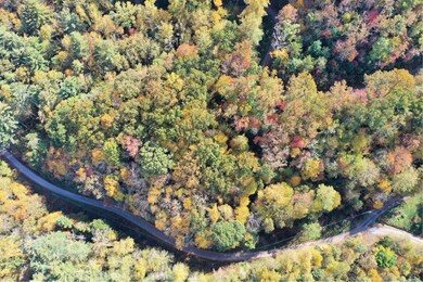 Vl63 Mtn Forest Estates, Sylva, NC 28779 - photo 5