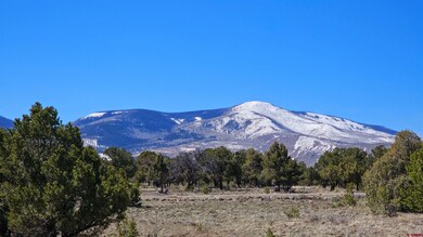4402 Bear Creek Cir, South Fork, CO 81154 - photo 2