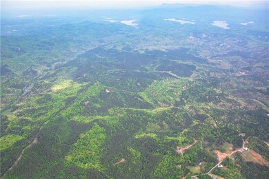 0 Big Ridge Rd unit 7596704, Talking Rock, GA 30175 - photo 7