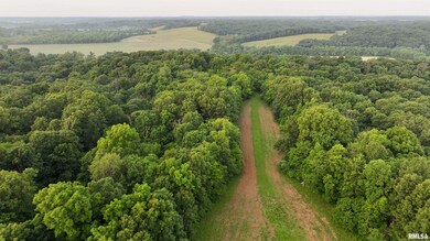 000 N Tarters Ferry Ln, Smithfield, IL 61477 - photo 2