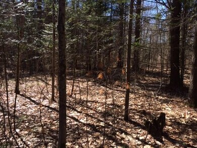 0 Mill Pond Rd, Durham, ME 04222 - photo 7