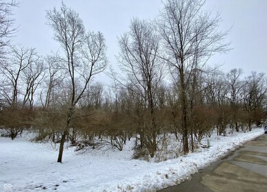 0 N Summerhill Dr unit MBR22076047, Niles Township, IN 47320 - photo 4