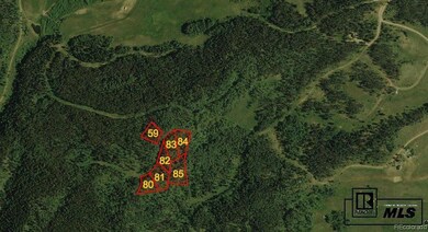 Various Silver Fox Trail, Oak Creek, CO 80467 - photo 2