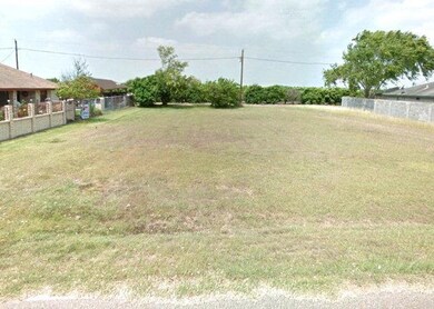 4631 Hernandez Dr, Donna, TX 78537 - photo 3