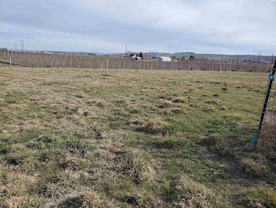 1501 Dekker Rd, Outlook, WA 98938 - photo 3