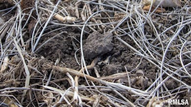 0 U S Route 52, Serena, IL 60549 - photo 6