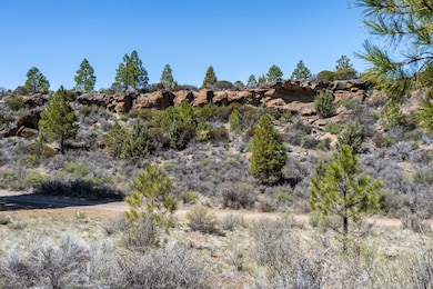 19309 Buck Canyon Rd, Bend, OR 97702 - photo 7