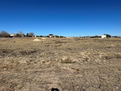 746 W Carrizo Springs Ave, Pueblo West, CO 81007 - photo 6