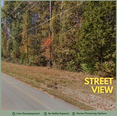 0 City Pond Rd unit 7617916, Oxford, GA 30054 - photo 2