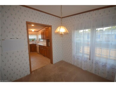 17 Schuberts Aly, Olmsted Township, OH 44138 - photo 5