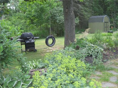 Yard.