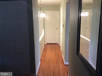 4303 Merton Rd, Rockville, MD 20853 - photo 4