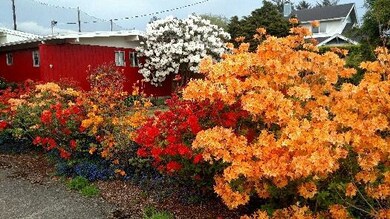 IMG_0541
