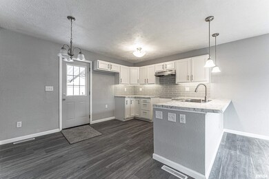 214 Welch Dr, Lincoln, IL 62656 - photo 7