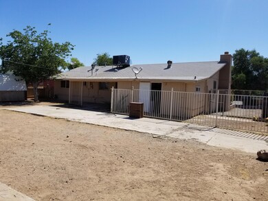 back yard 7
