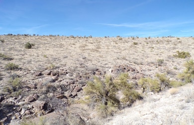 0 Lazy Y U Dr, Kingman, AZ 86401 - photo 7