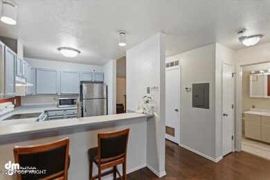 13-Kitchen_IMG_7536_SSW