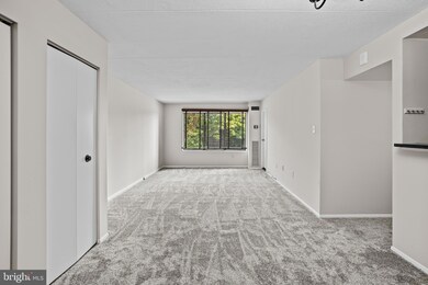 Sentinel of Landmark unit 615, Alexandria, VA 22304 - photo 6