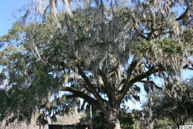 1539 Stilley Cir unit Julia, Conway, SC 29526 - photo 6