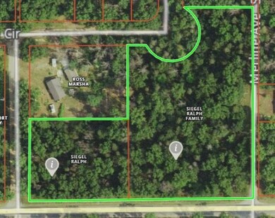 Par. 5 W Baldwin Rd, Baldwin, MI 49304 - photo 3