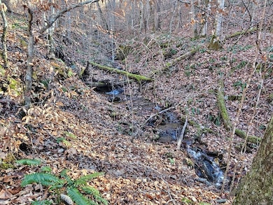 00 Corbin Cove Dr, Franklin, NC 28734 - photo 6