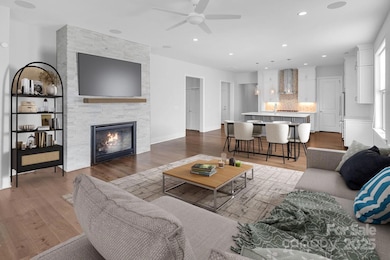 14008 Little Spring Ct, Steele Creek, NC 28278 - photo 5