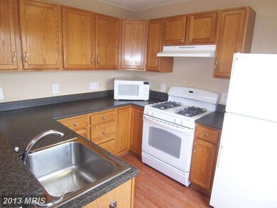 8805 Stoneridge Cir unit 102, Pikesville, MD 21208 - photo 6