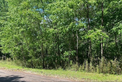 43 Shetland Ln, Coldspring, TX 77331 - photo 3