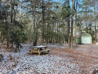 TBD Rolling Oaks Ln, Mena, AR 71953 - photo 4