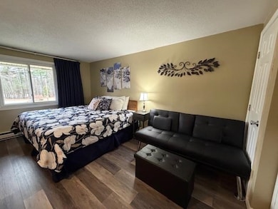 2955 White Mountain Hwy unit 207 (W-31), North Conway, NH 03860 - photo 5