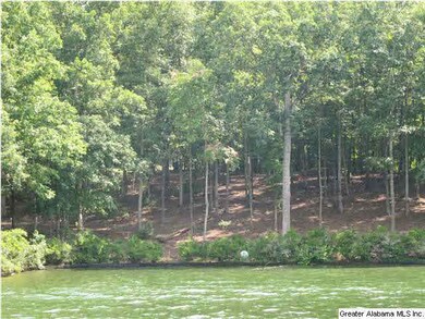 Lot 1 Wedowee Creek View Dr unit LOT 1, Wedowee, AL 36278 - photo 3