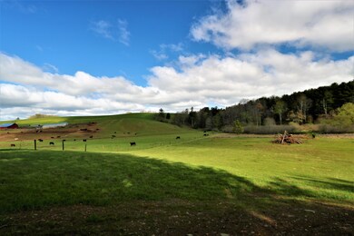 IMG_0155