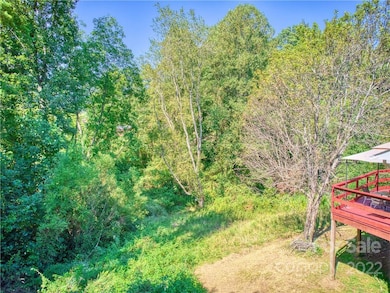 145 Jones Rd, Leicester, NC 28748 - photo 3