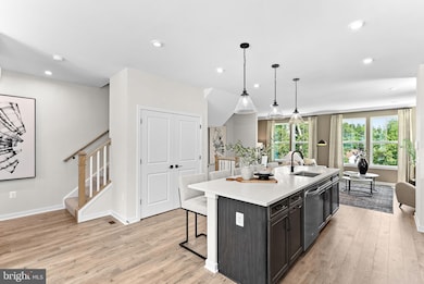 54320 Mystic Maroon Terrace, Ashburn, VA 20147 - photo 4