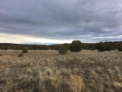 1850 E Aiken Ranch Rd, Paulden, AZ 86334 - photo 2