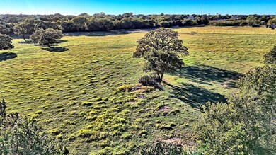 295 Feed Store Rd, Bowie, TX 76230 - photo 6