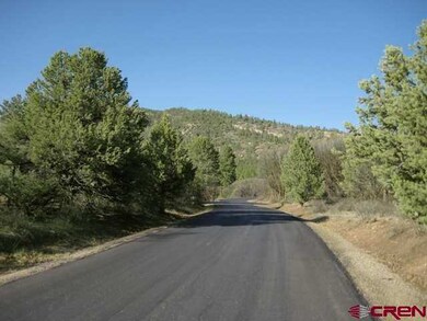 0 Elkridge Ln unit 677122, Durango, CO 81301 - photo 2