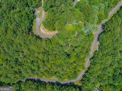 Lot 103R Mountain Creek Hollow Dr, Talking Rock, GA 30175 - photo 4