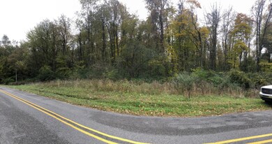 Briar Rd Pano