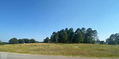 3321 County Road 751, Jonesboro, AR 72401 - photo 3