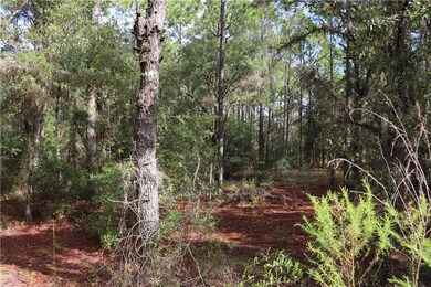 00 SW 211th Cir, Dunnellon, FL 34431 - photo 7