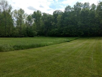 361 Juniper Swamp Rd, Shushan, NY 12873 - photo 3