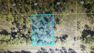 1241 Random St E, Lehigh Acres, FL 33974 - photo 2