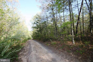 0 Roberts Ln unit 1003479014, Rixeyville, VA 22737 - photo 3